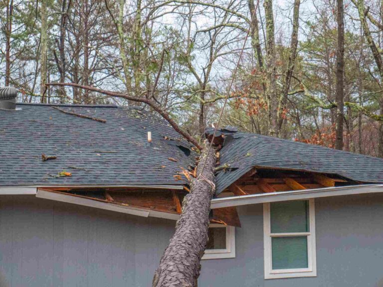 Storm-damaged residential property with fallen tree impacting the roof requiring emergency storm damage cleanup, roof tarping, and structural restoration services by Paul Davis Restoration of the Mid-Hudson Valley.
